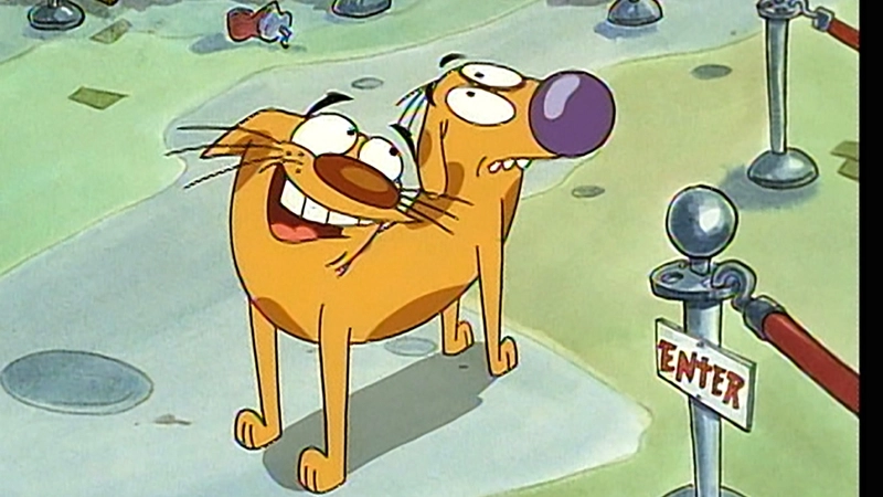Buying and selling cheap CatDog (3)