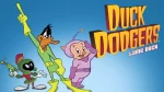 Duck Dodgers for Sale Cheap