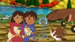 Go Diego Go for Sale Cheap