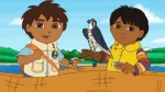 Go Diego Go for Sale Cheap