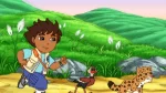 Go Diego Go for Sale Cheap