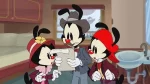 Animaniacs for Sale Cheap