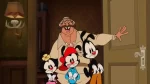 Animaniacs for Sale Cheap