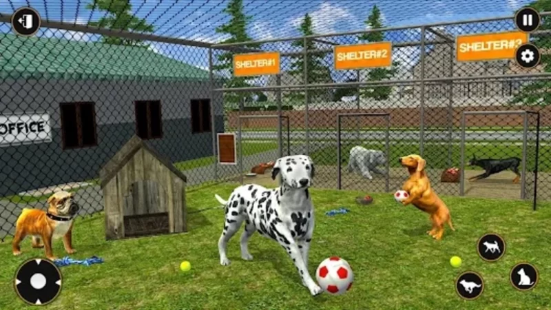 Cuddly Pets Shelter Games for Sale Cheap