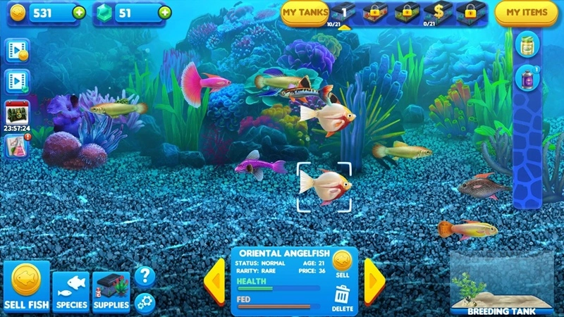 FishCo Games for Sale Cheap (5)