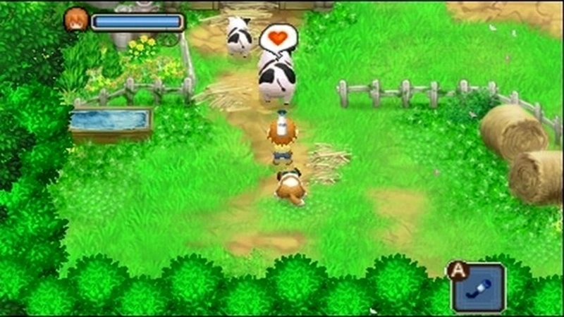 Harvest Moon Games for Sale Cheap (8)
