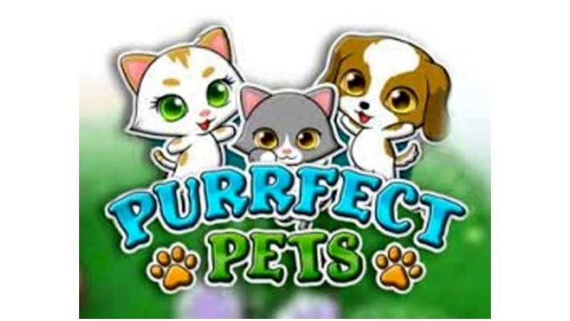 Purrfect Pet Shop Games for Sale Cheap