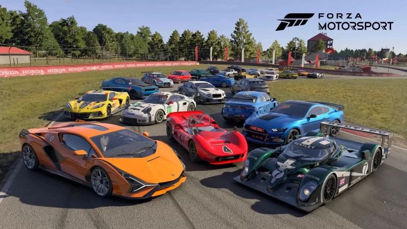 Forza Motorsport for Sale Best Deals