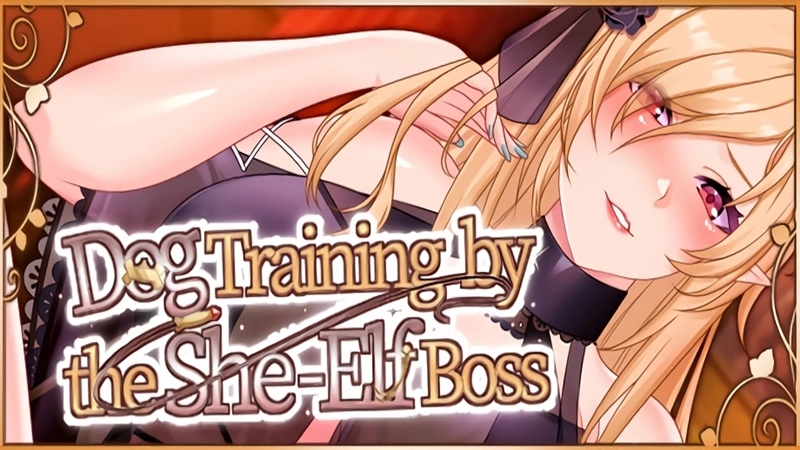 Buy Sell Elf Boss’s Dog Training Cheap Price Complete Series (1)