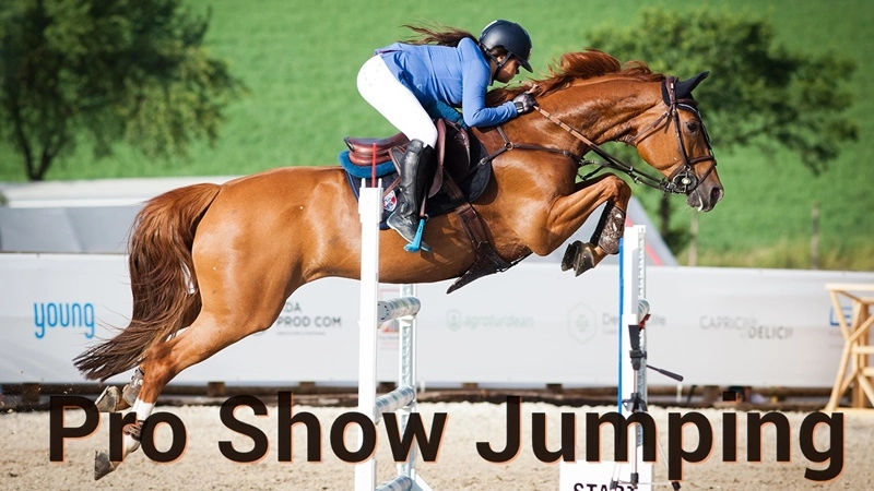 Buy Sell Pro Show Jumping Cheap Price Complete Series (1)